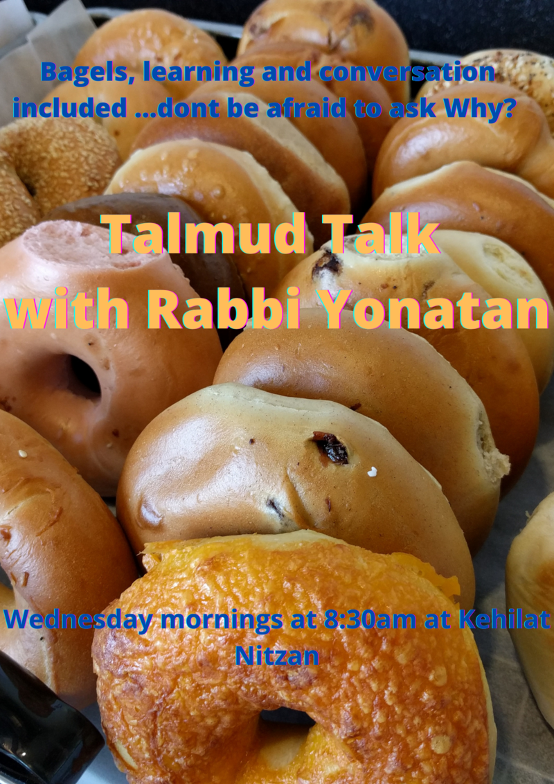 Banner Image for Talmud Shiur